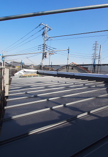 c0039501_16181413.jpg