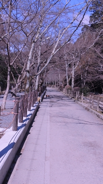 a0240403_23010891.jpg