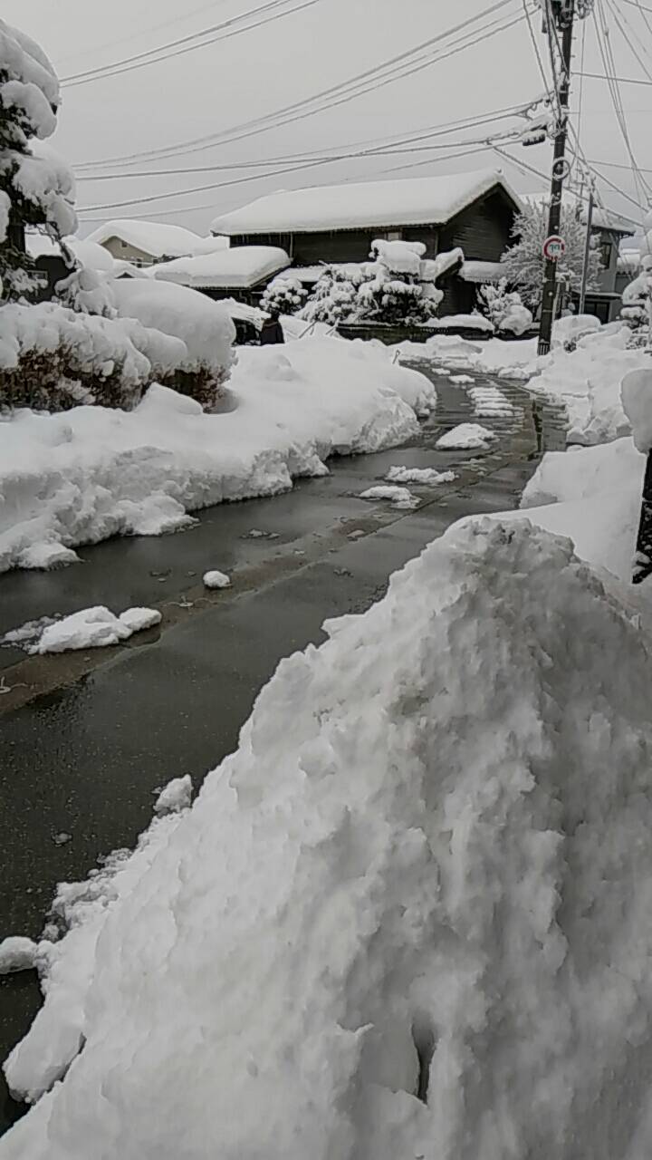 c0112206_12261339.jpg