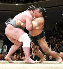 「貴乃花の凄さがわかる」貴乃花歴史的一番 vs朝青龍：モンゴル人は霊的に生まれ変われ！？_a0348309_9393284.jpg
