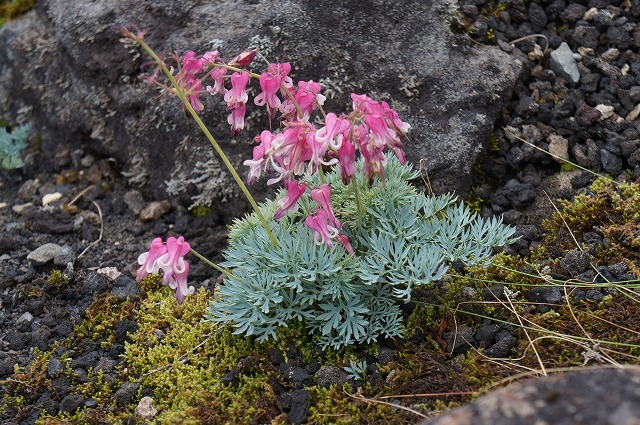 御嶽山登山記録（2012,9,2）_e0382915_17515485.jpg