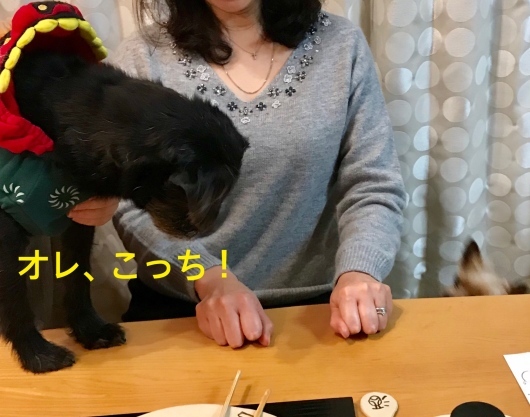 d0161525_22354934.jpeg