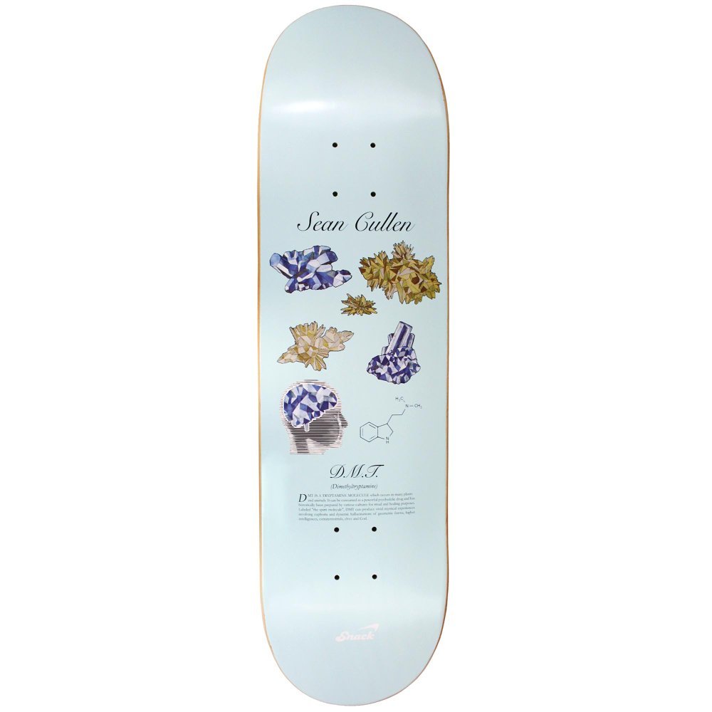 SNACK SKATEBOARDS_a0071239_18022095.jpg