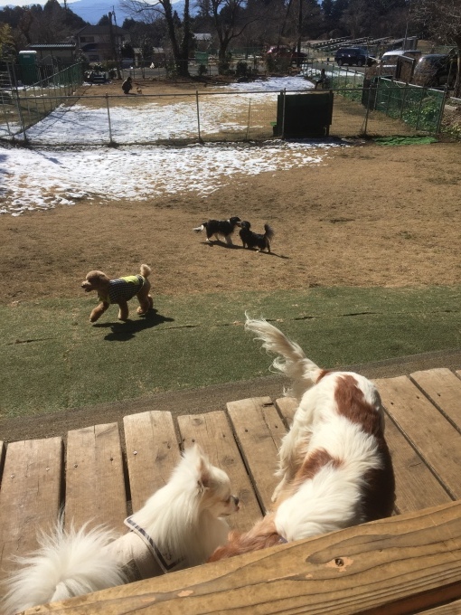 b0369239_16174839.jpeg