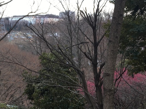 b0330040_23470684.jpeg