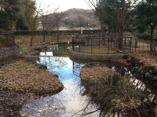 b0330040_23564913.jpeg