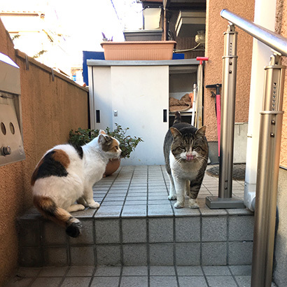 2018年初見参！_a0028451_12580583.jpg