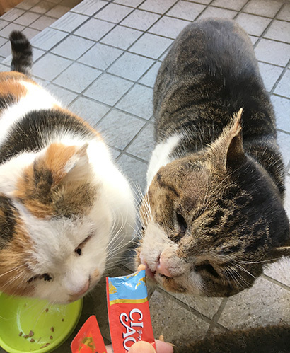 2018年初見参！_a0028451_12580596.jpg