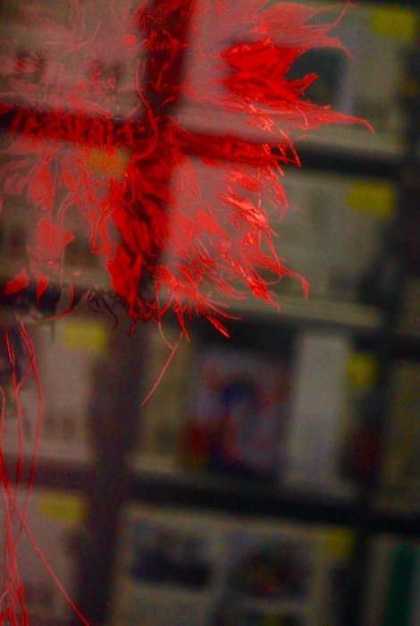 kakugo_a0271251_23090673.jpg