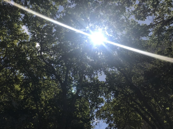 f0304452_23221779.jpeg