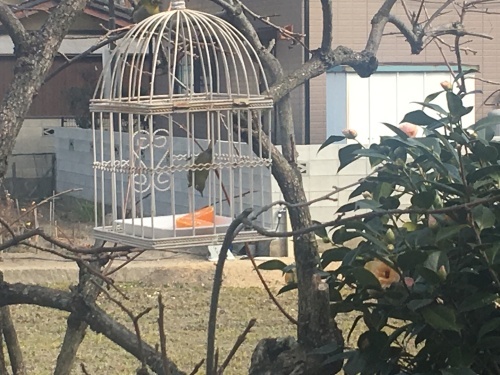 a0152454_15212517.jpeg
