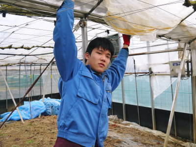 熊本ぶどう　社方園　冬眠から目覚める前の準備と熊本農業高校からの農業実習（2018）前編　_a0254656_18562546.jpg