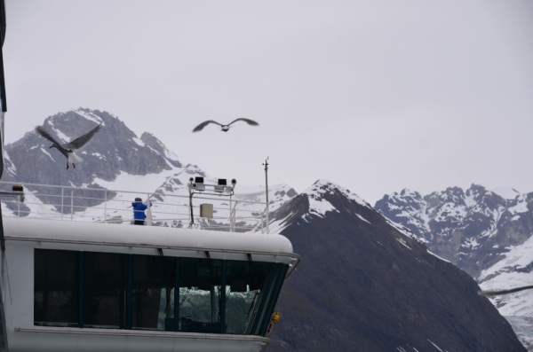 グレーシャーベイ国立公園の氷河を満喫しました。：ルビープリンセスアラスカクルーズ_f0054556_11375309.jpg