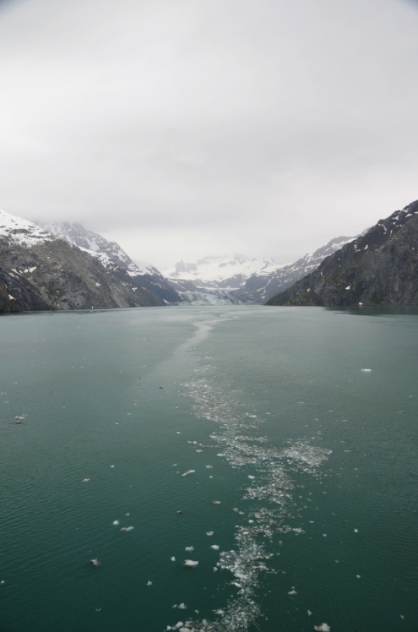 グレーシャーベイ国立公園の氷河を満喫しました。：ルビープリンセスアラスカクルーズ_f0054556_12123716.jpg