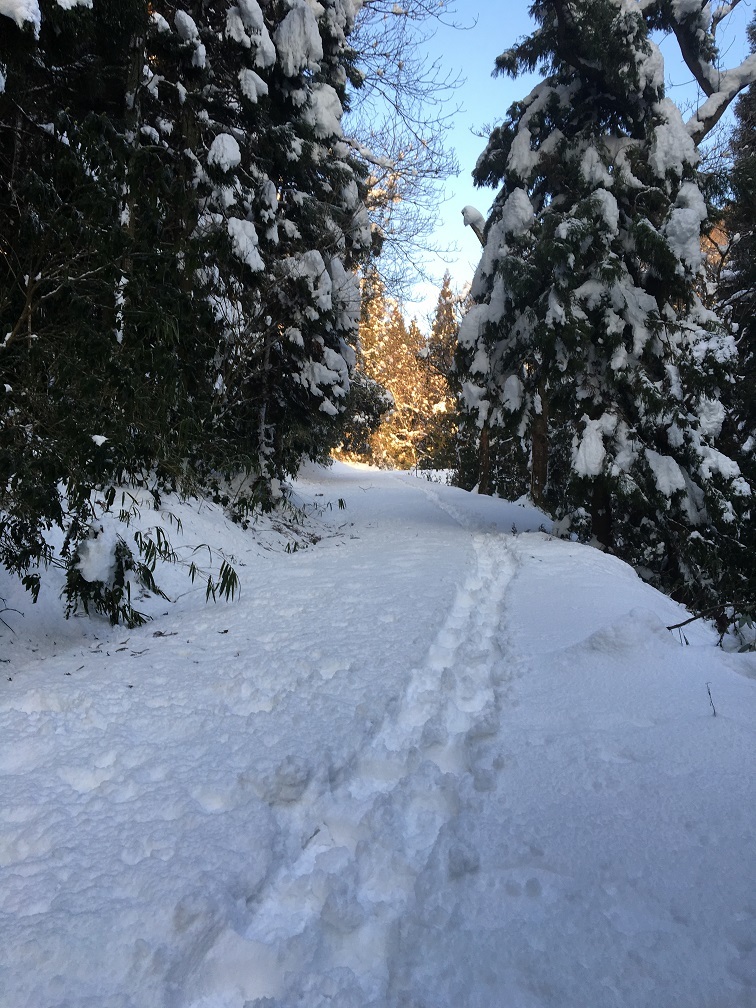 嵩山登山_d0007657_11223983.jpg