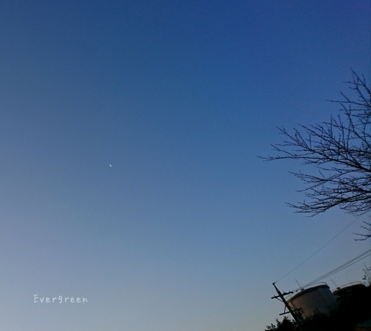 d0362666_08134293.jpg