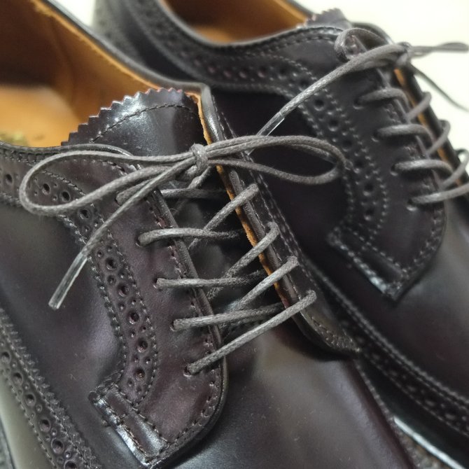 LONG WING TIP (Cordovan) - Alden (オールデン)-_d0158579_18520960.jpg
