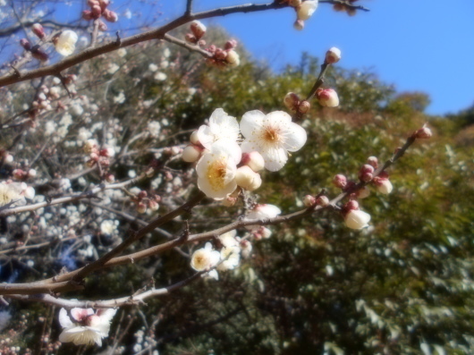 c0069380_13190256.jpg