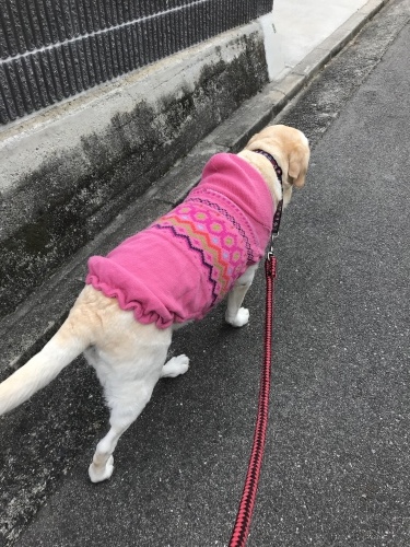 f0315081_22352710.jpeg