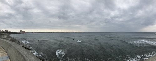 f0299682_18202766.jpg