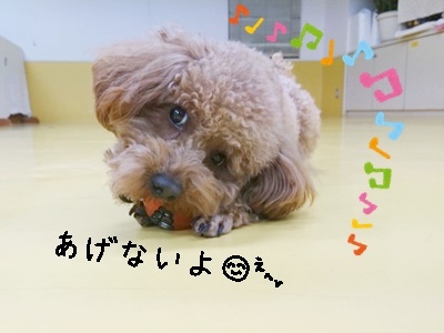 ボール遊びヽ(*´∀`)ノ_f0357682_11543049.jpg