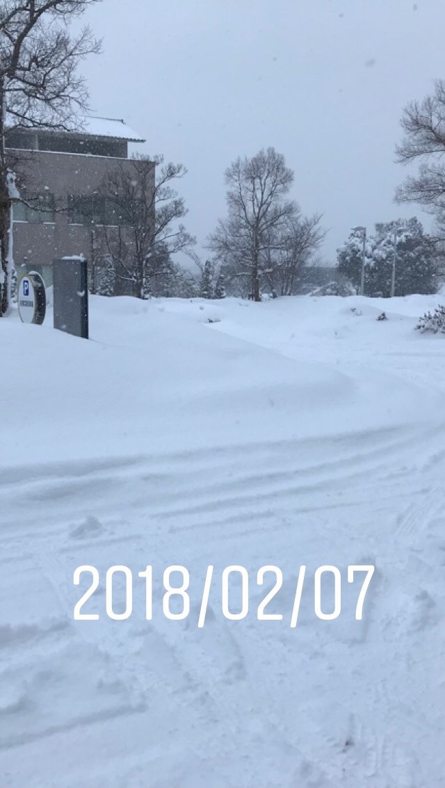 2018.2.8  株は乱高下　松江は雪です_b0174284_05403229.jpg