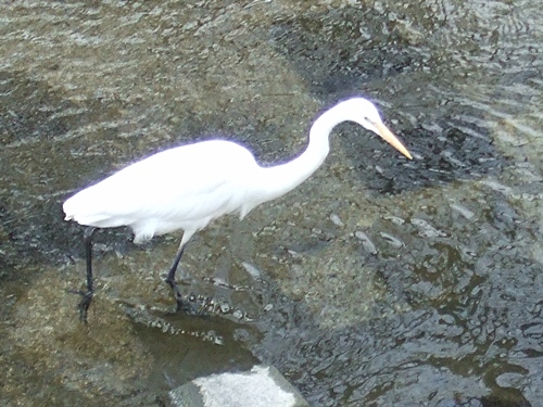 e0086885_16194518.jpg