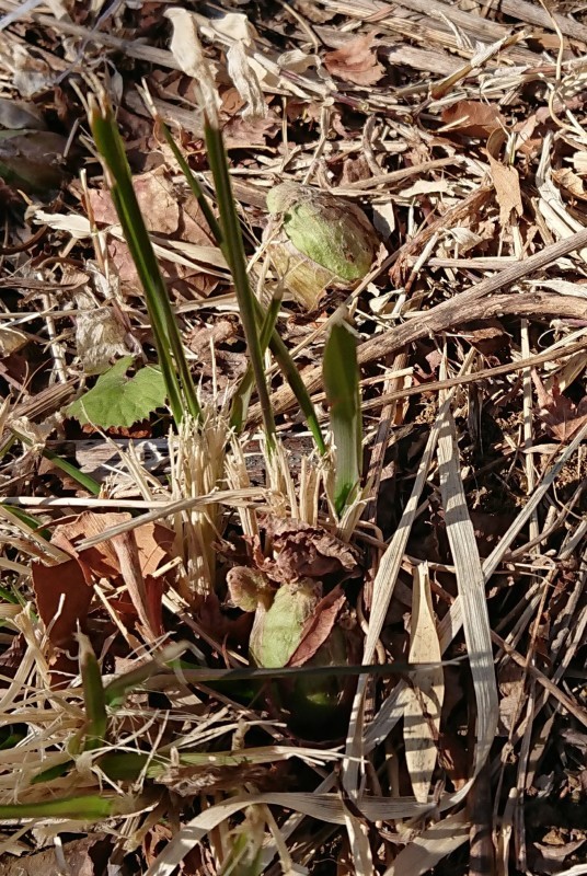 f0280186_09151531.jpg