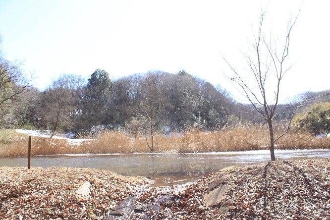 d0183387_01051516.jpg