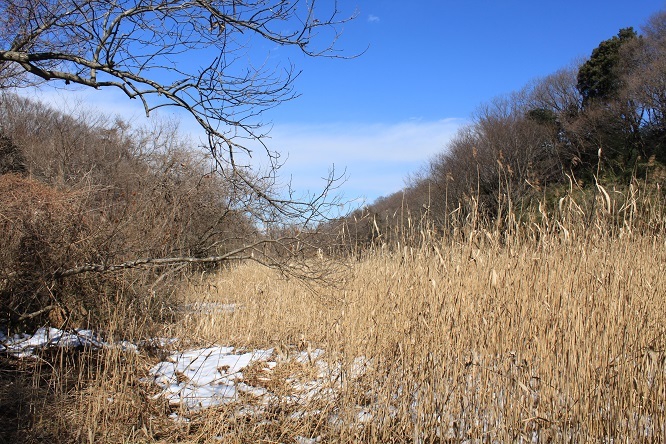 d0183387_11111016.jpg