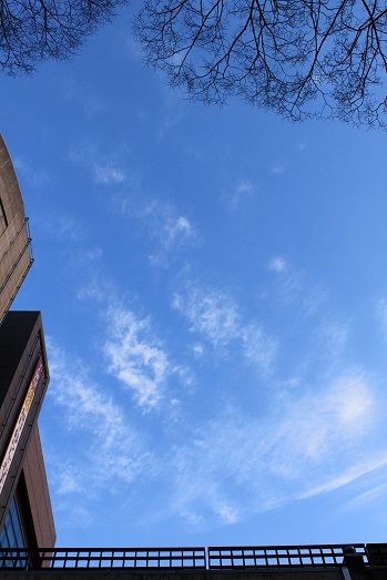 d0183387_19095727.jpg