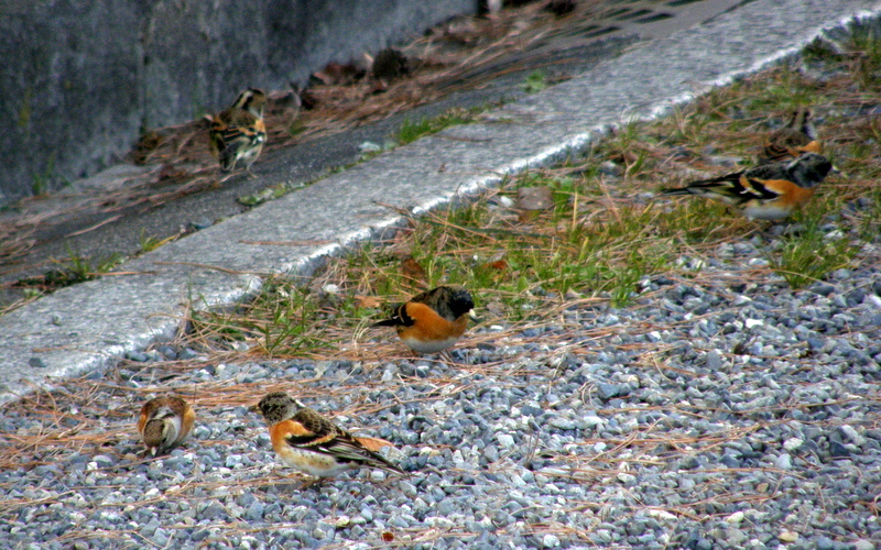 c0057390_00093529.jpg