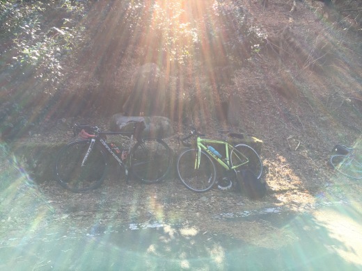 b0074992_11511076.jpeg