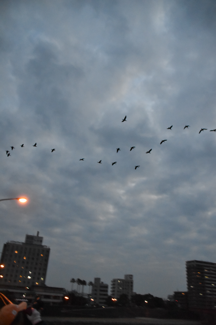 c0049299_21000777.jpg