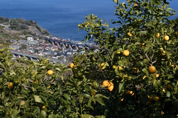 e0005714_19193512.jpg