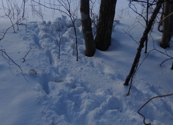 a0304423_23271491.jpg