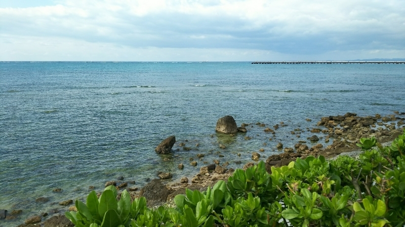 e0305834_11162845.jpg