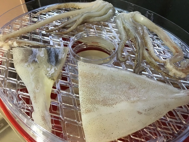 b0368237_22264256.jpeg