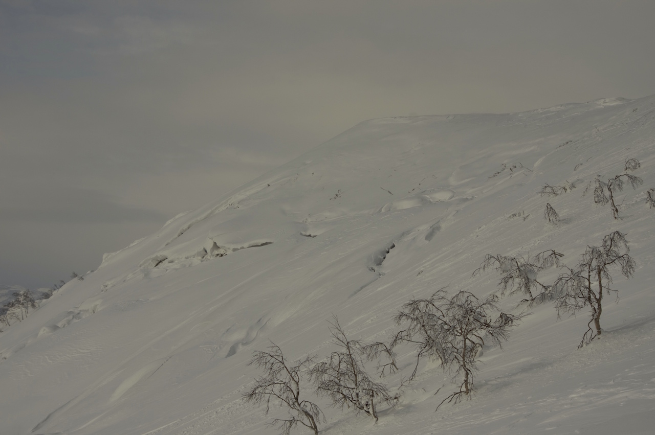 d0231339_20401647.jpg