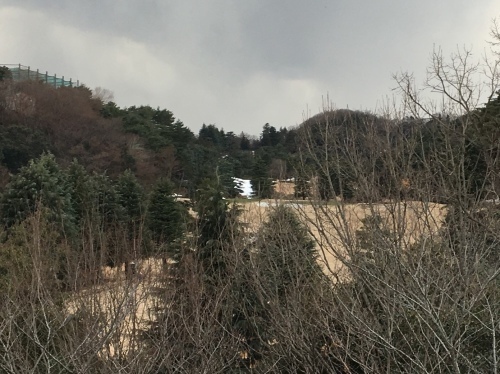 b0330040_00113541.jpeg