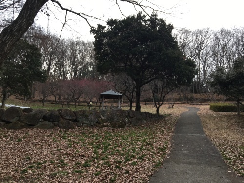 b0330040_11300087.jpeg