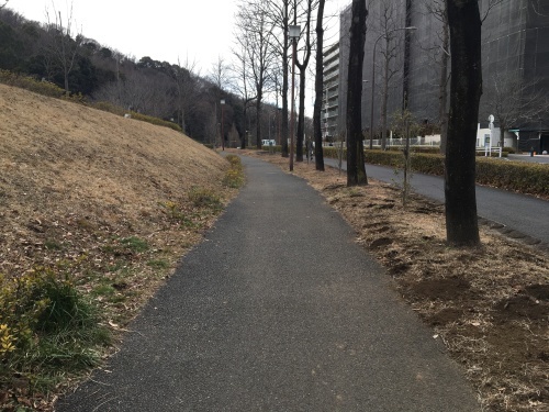 b0330040_11340122.jpeg