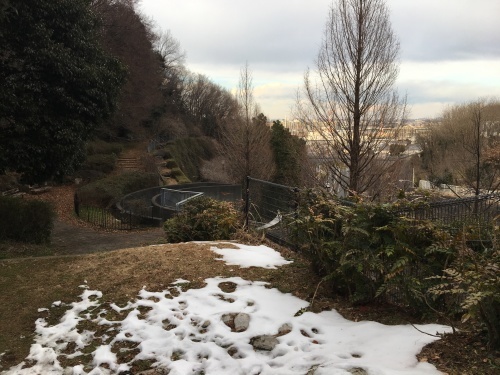 b0330040_11413163.jpeg