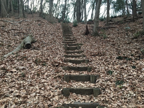 b0330040_11434087.jpeg