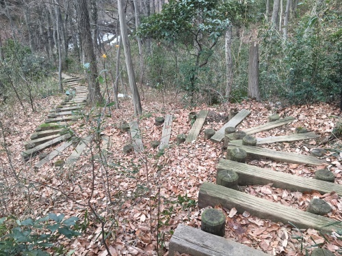 b0330040_11470953.jpeg