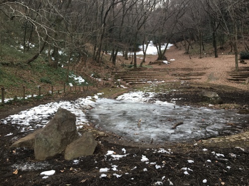 b0330040_11530114.jpeg
