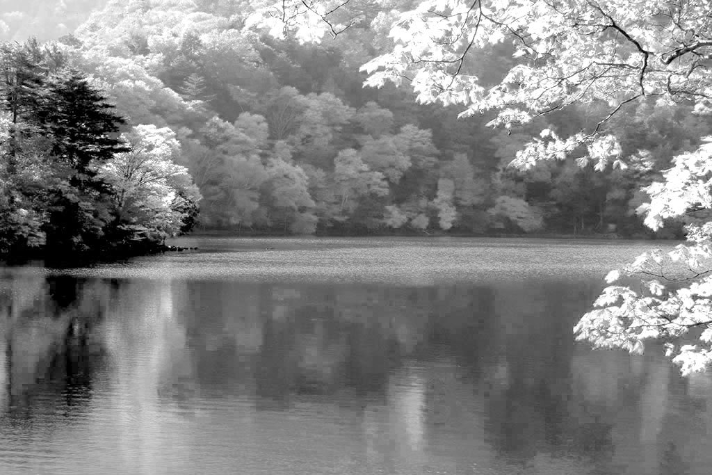 モノクロ風景 奥日光紅葉 4 : 光 塗人 の デジタル フォト