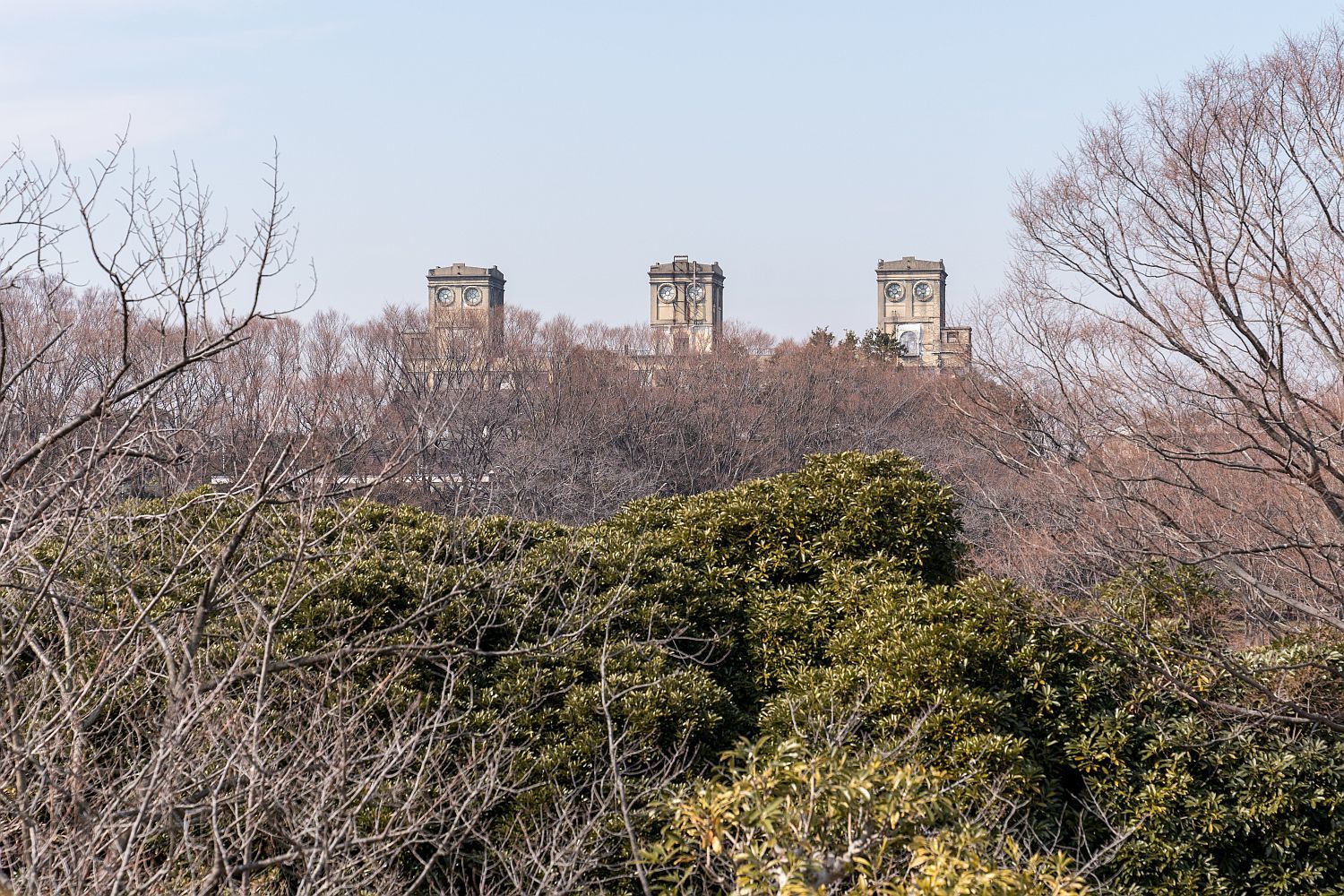 横浜街角スナップ 根岸森林公園 2018.2.11_b0212342_19362881.jpg