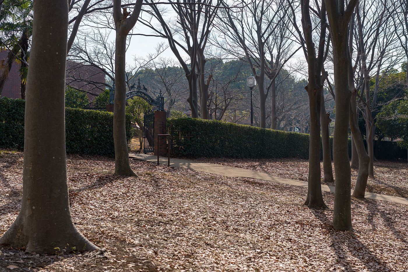横浜街角スナップ 根岸森林公園 2018.2.11_b0212342_19424829.jpg