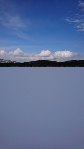 a0329943_22494352.jpg